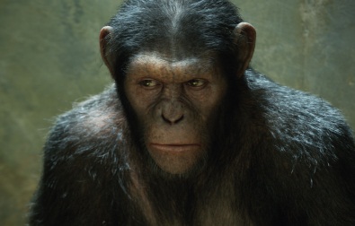 Ceasar uno de los simios a los cuales les da vida Andy Serkis con la tecnología de "captura del movimiento" similar a como hizo con Gollum y King Kong