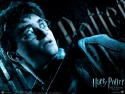 hp6_wallpaper_02_800x600.jpg