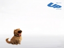 UP_wallpapers_1024x768_05.jpg